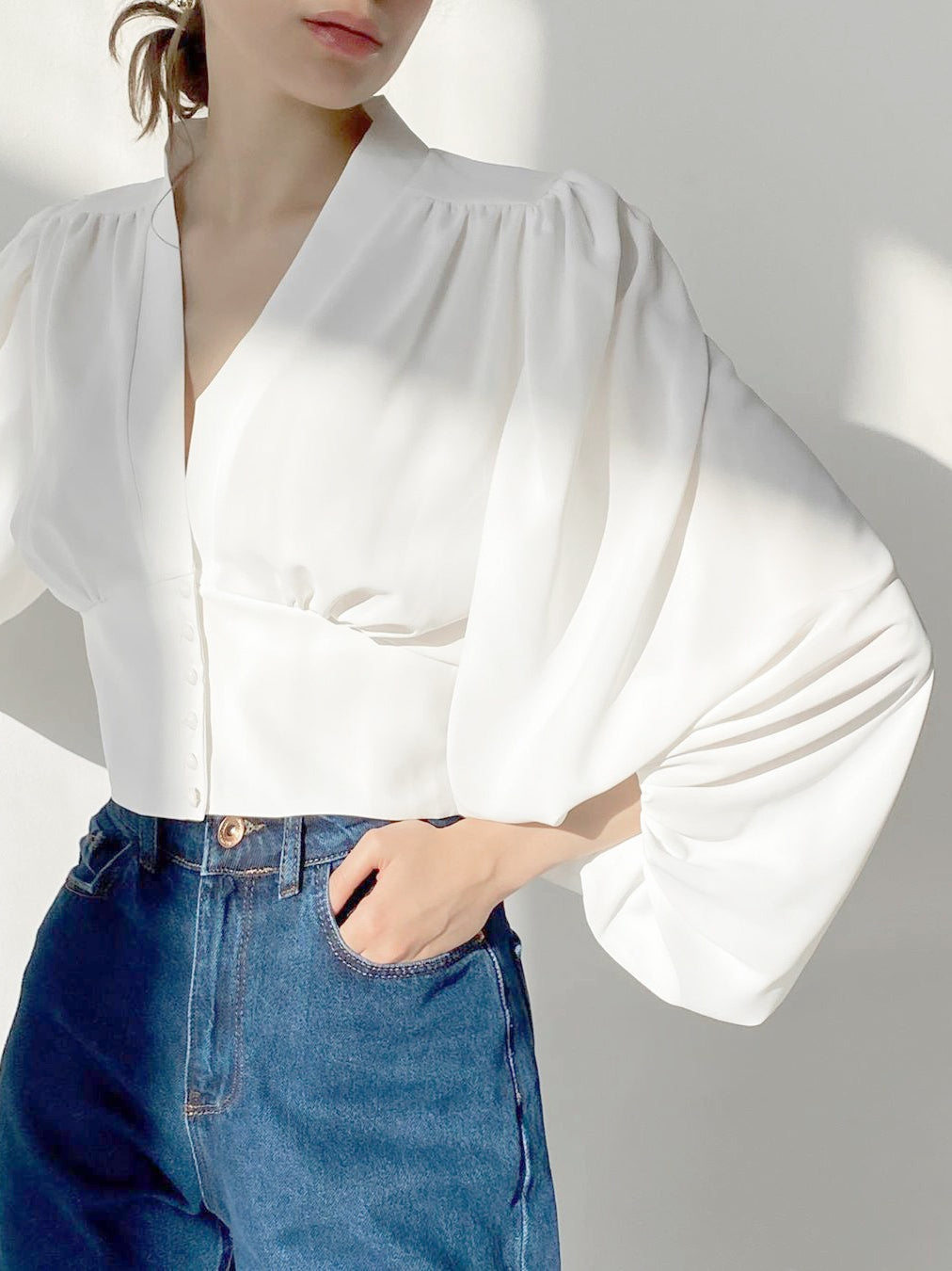 Vintage Lantern Sleeve V-Neck Slim Fit Blouse